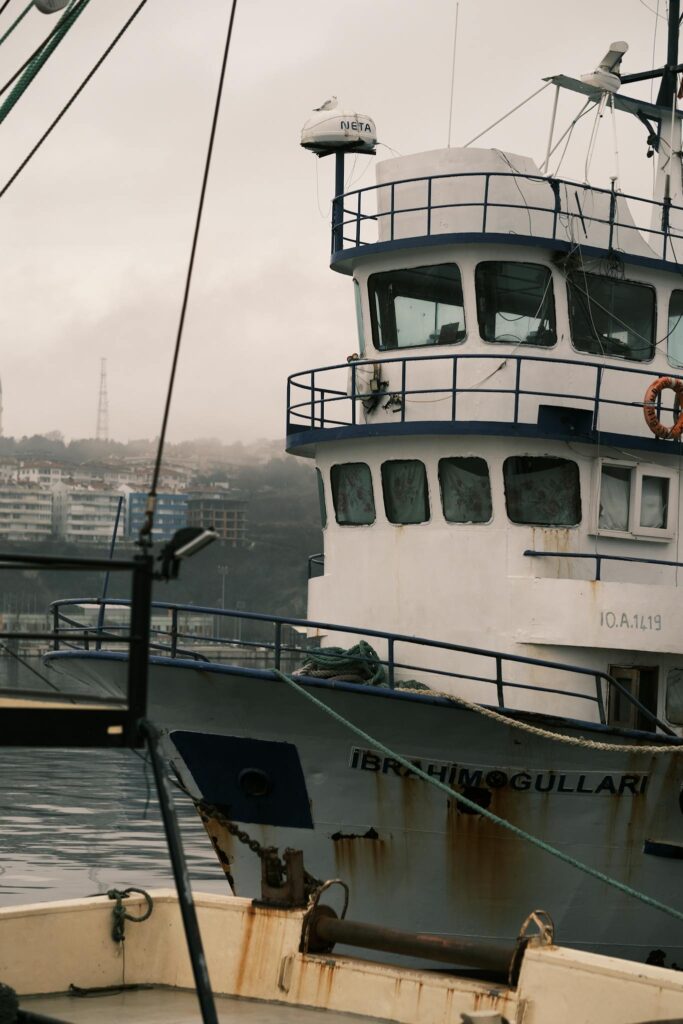 Fishing vessel docked at a misty harbor with urban background, showcasing marine life.
